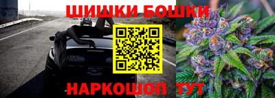 тгк Будённовск