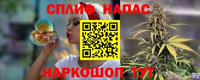 тгк Будённовск