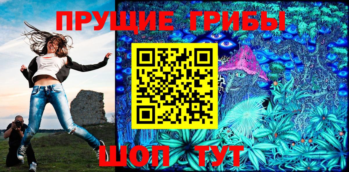 Псилоцибиновые грибы Psilocybine cubensis Магадан