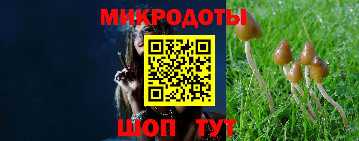 Псилоцибиновые грибы мухоморы  Вход с VPN  Галлюциногенные грибы ЛСД  Магадан 